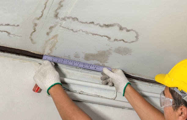 Reliable Burst Pipe Cleanup contractor in Aurora, CO by Water Damage Irwin